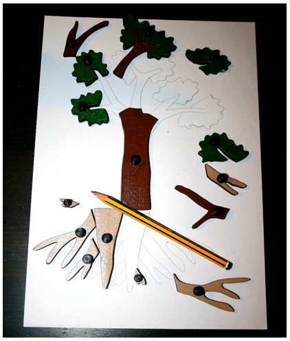 boboto tutorial pianta 5