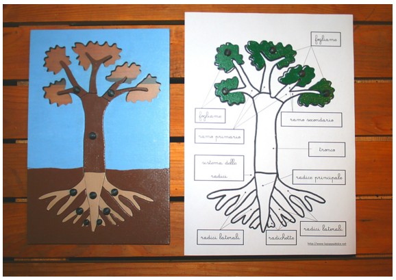 boboto tutorial pianta 6