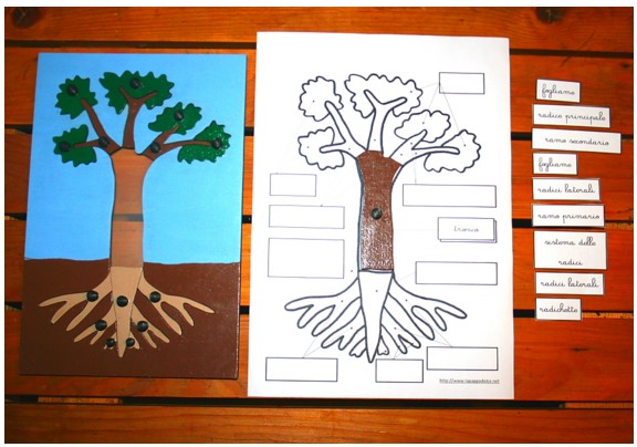 boboto tutorial pianta 7