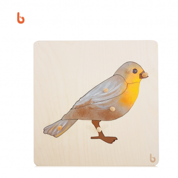 Nessuna immagine impostata 