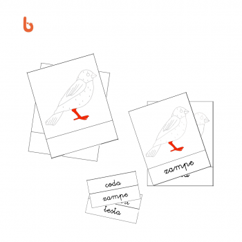 Nessuna immagine impostata 